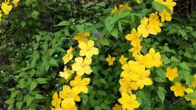 湯泉神社の自然