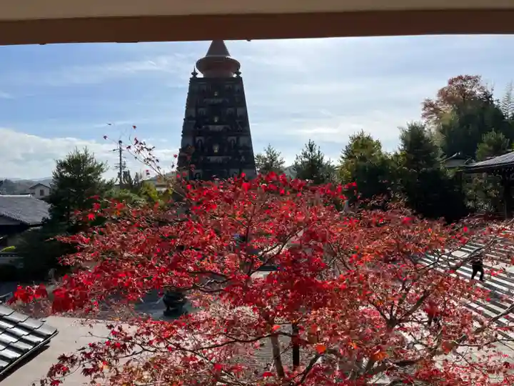 妙満寺(京都府)
