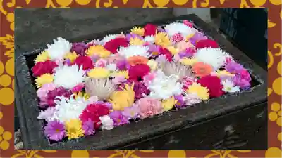 観音寺(東京都)