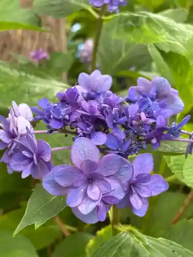 西野神社(北海道)