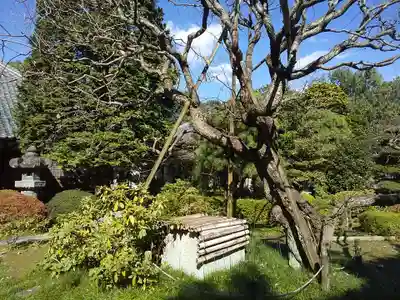 廣福寺(埼玉県)