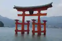 厳島神社の鳥居