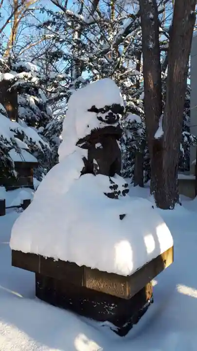 新琴似神社の狛犬