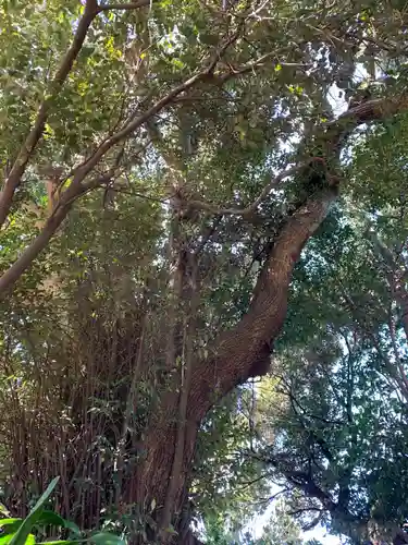 波切不動尊の自然