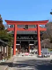 梅宮大社の鳥居