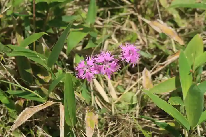仏法紹隆寺(長野県)