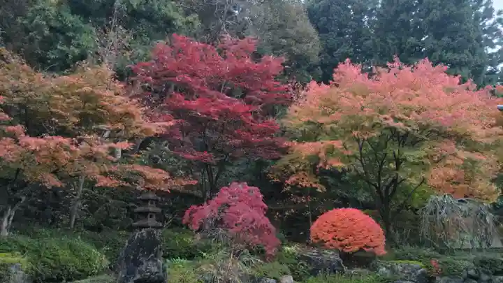 圓融寺(埼玉県)