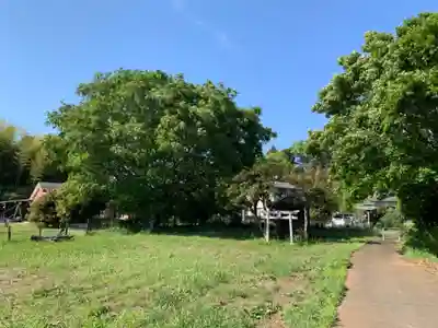 諏訪神社(千葉県)
