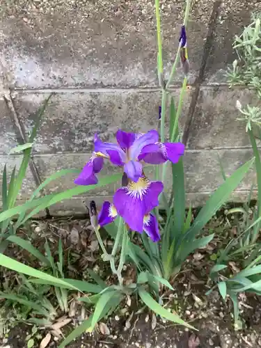玉野御嶽神社の自然