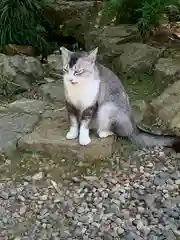 唐澤山神社の動物