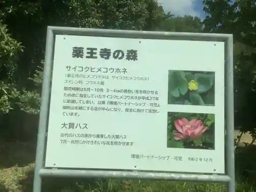 薬王寺のその他建物