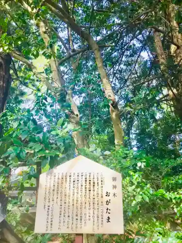 大宝八幡宮の歴史