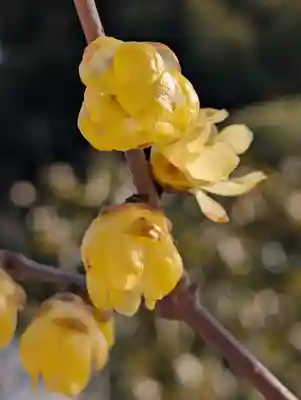 寳幢院(東京都)