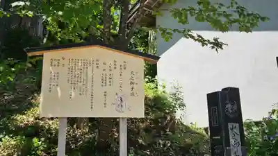 戸隠神社火之御子社(長野県)