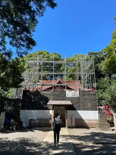 代々木八幡宮の本殿・本堂