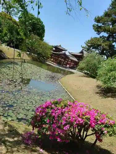 平等院のその他建物