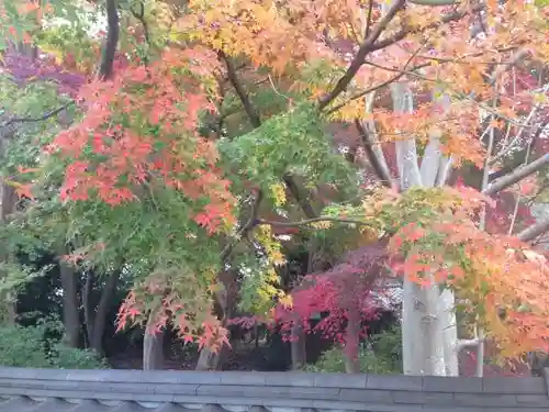 宝珠山　観泉寺の自然