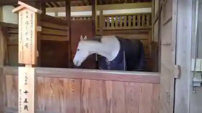 金刀比羅宮(香川県)