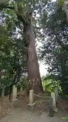 南宮神社(千葉県)