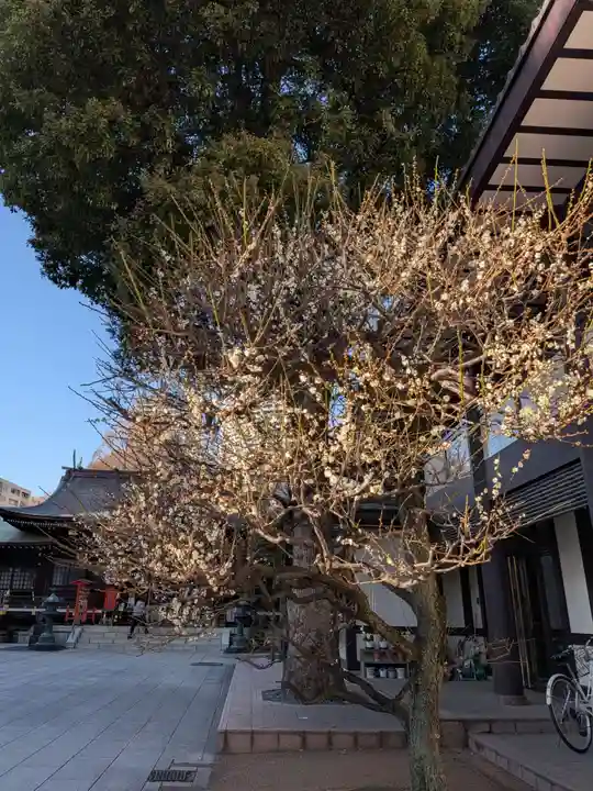 熊野神社(東京都)