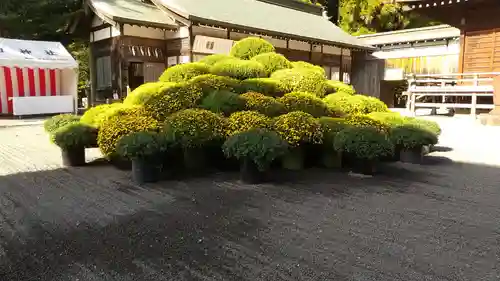 常陸第三宮　吉田神社(茨城県)