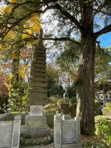 安養院(東京都)