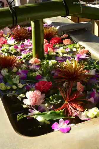 深川神明宮の手水舎