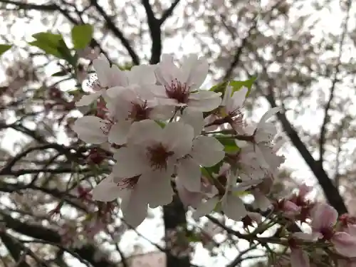 金剛宝寺（紀三井寺）の自然