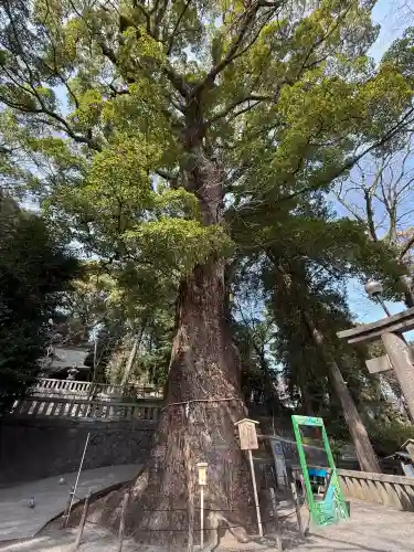五所神社(神奈川県)
