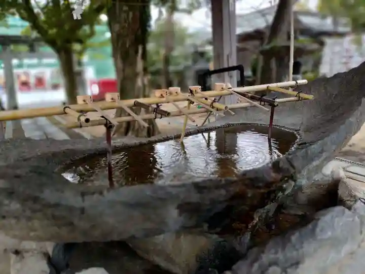 唐津神社(佐賀県)