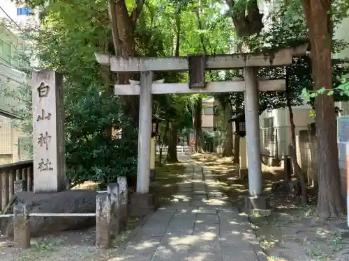 荻窪白山神社(東京都)