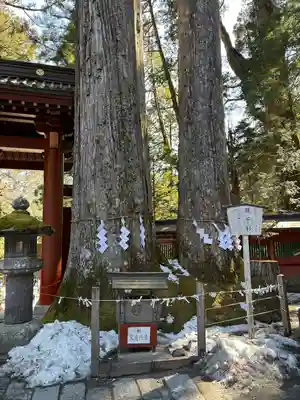 日光二荒山神社(栃木県)