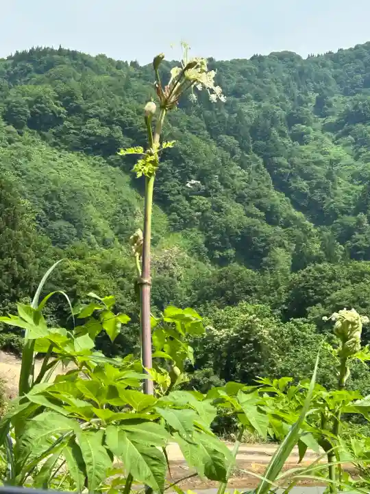 髙龍神社 中社(新潟県)