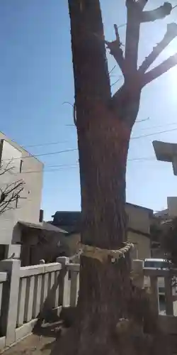 綾瀬神社(東京都)