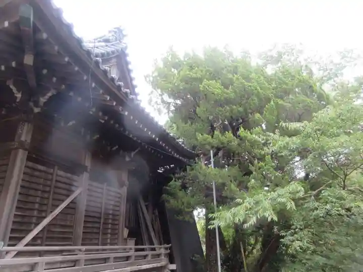 蛭子神社の本殿・本堂