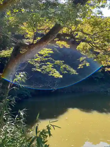 白兎神社の自然