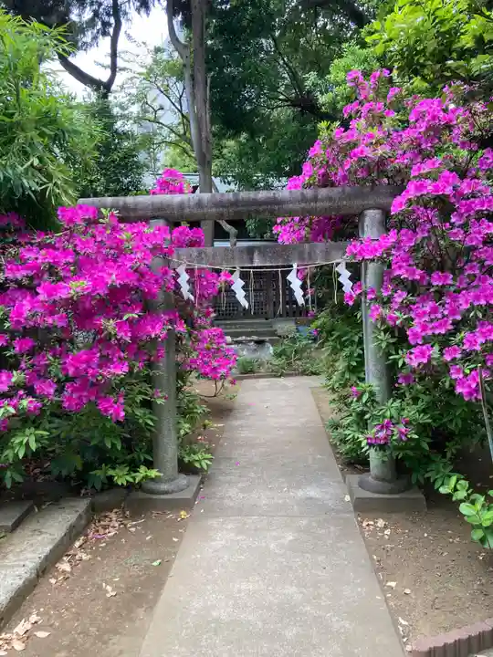 鳩森八幡神社(東京都)