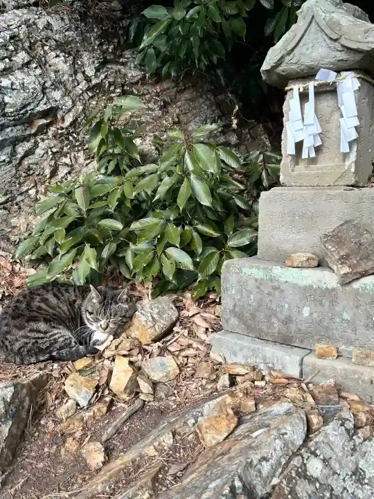 唐澤山神社(栃木県)
