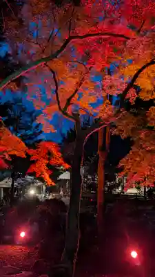 出雲大神宮(京都府)