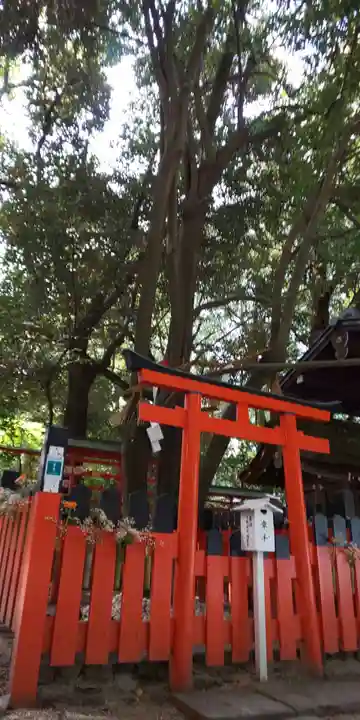 賀茂御祖神社(下鴨神社)(京都府)