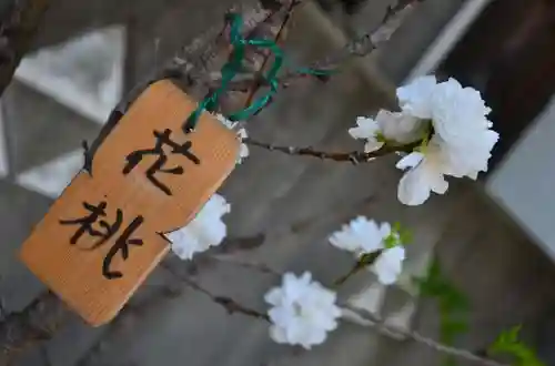 龍峰寺の自然