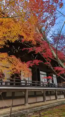 光明寺（粟生光明寺）(京都府)
