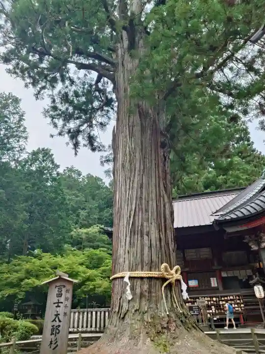 北口本宮冨士浅間神社(山梨県)