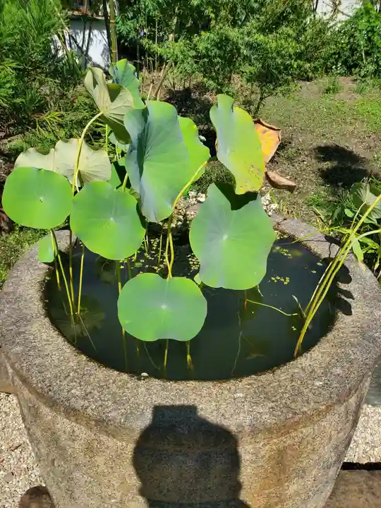 興聖寺(栃木県)