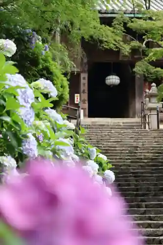 長谷寺のその他建物