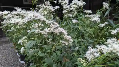 行願寺（革堂）(京都府)