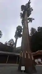 安志加茂神社(兵庫県)