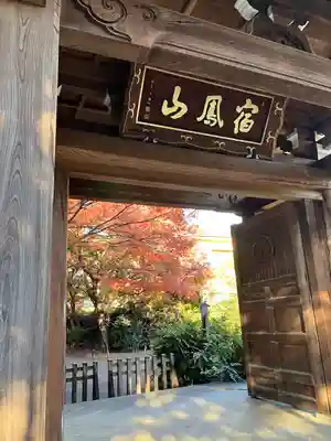 高円寺(東京都)