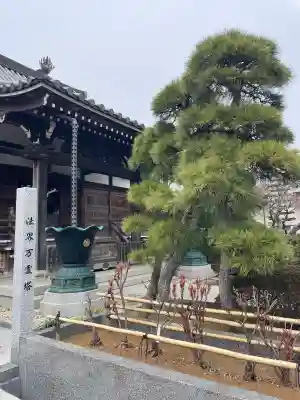 観音寺(千葉県)