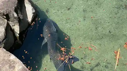 甲斐善光寺(山梨県)